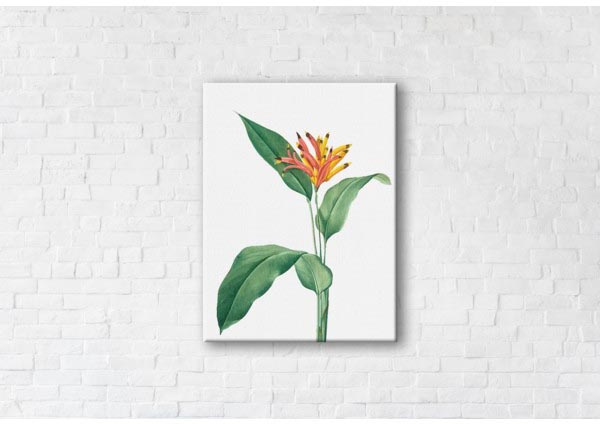 

Картина на холсте IBR Tropical Flower 45x60 см