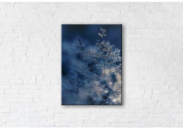 

Картина на холсте IBR Nightfall 50x65 см