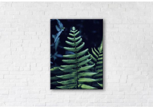 

Картина на холсте IBR Bracken Fern 50x65 см