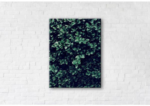 

Картина на холсте IBR Green Life 110x145 см