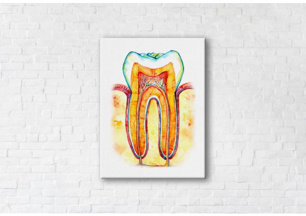

Картина на холсте IBR Inside The Tooth 45x60 см
