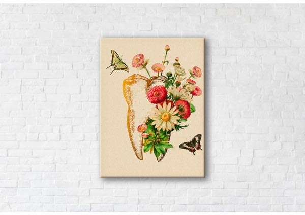 

Картина на холсте IBR Healthy Tooth 50x65 см