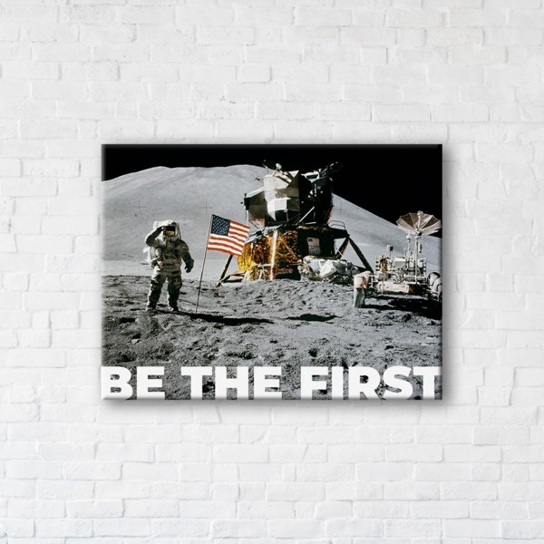 

Картина на холсте IBR Be The First 45x60 см