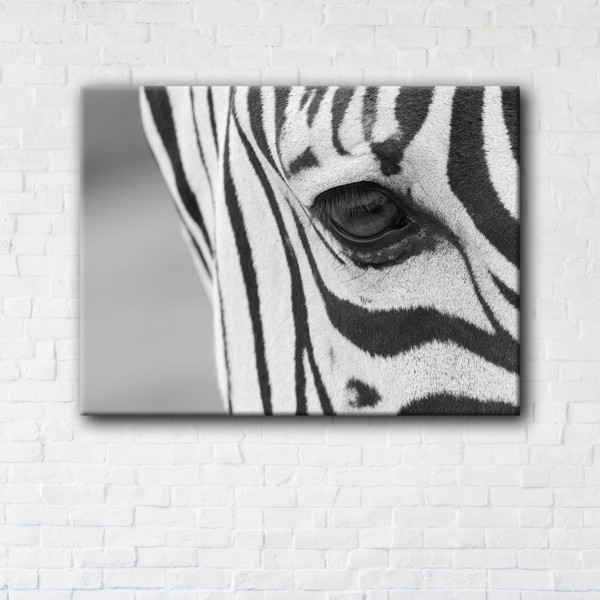 

Картина на холсте IBR Zebra 45x60 см
