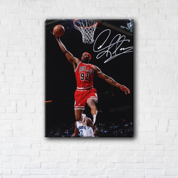 

Картина на холсте IBR Dennis Rodman 90x120 см
