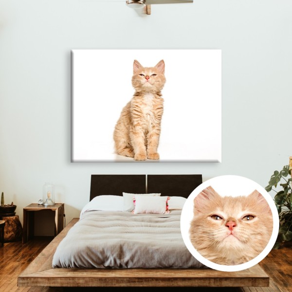 

Картина на холсте IBR Suspicious cat 110x145 см