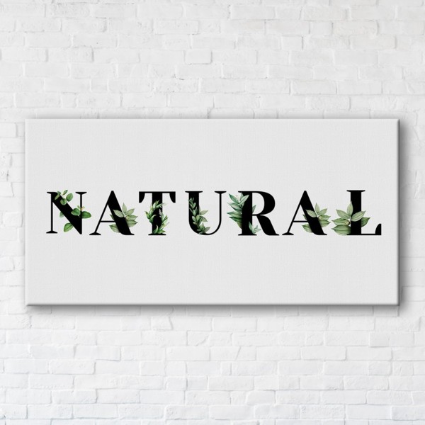 

Картина на холсте IBR Natural 60x120 см