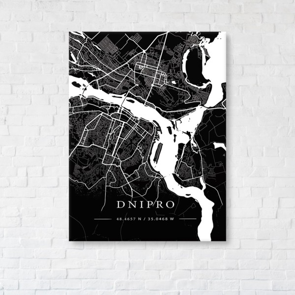 

Картина на холсте IBR Dnipro Black Map 110x145 см