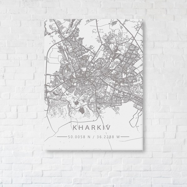 

Картина на холсте IBR Kharkiv White Map 45x60 см