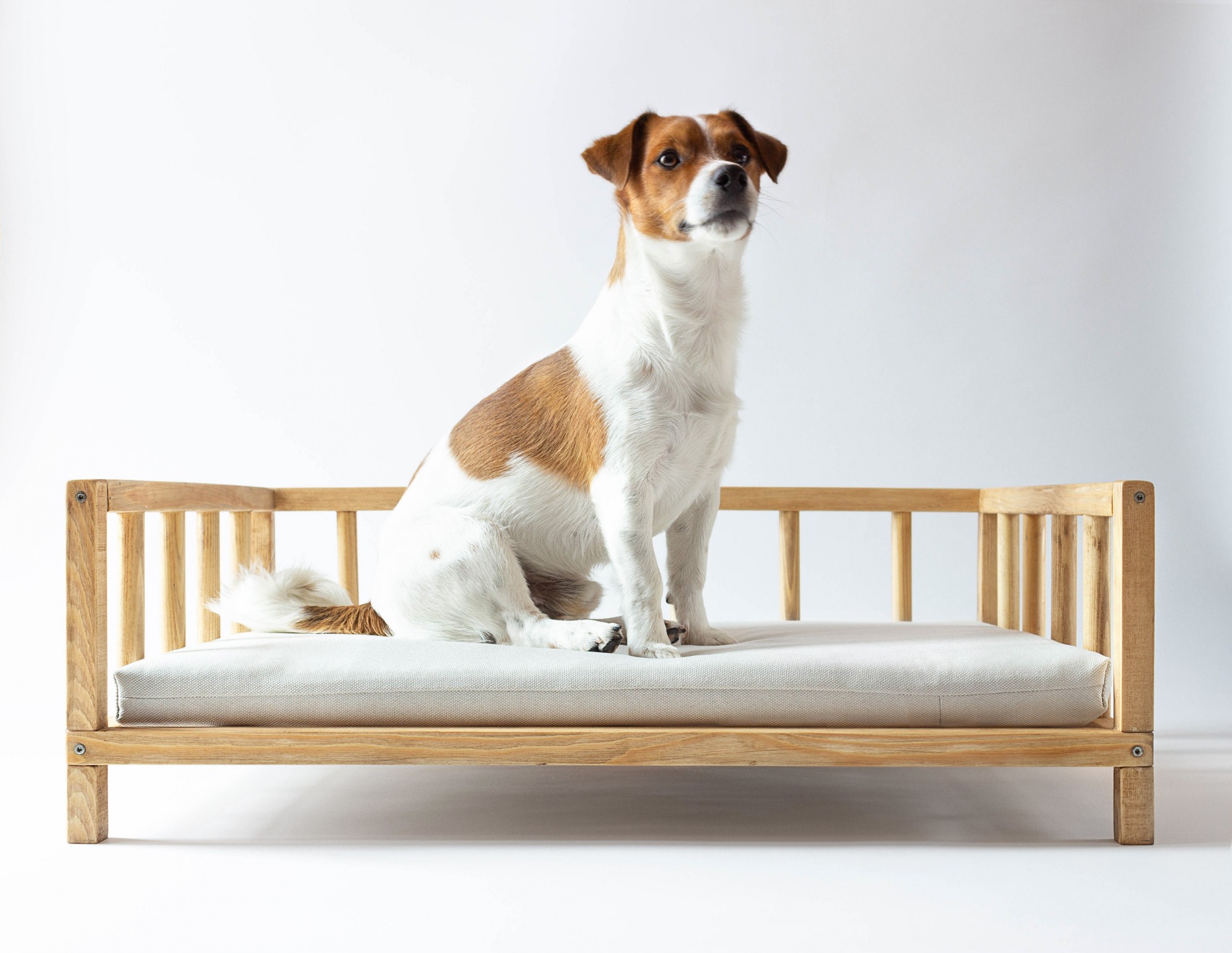 

Лежак для котов и собак Modern 60 x 40 см натуральный с белым + подушка