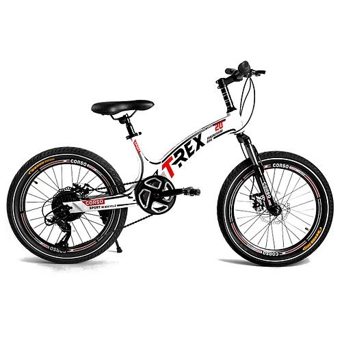 

Детский спортивный велосипед 20’’ CORSO «T-REX» 64899 магниевая рама, оборудование MicroShift, 7 скоростей, черно-белый с красным