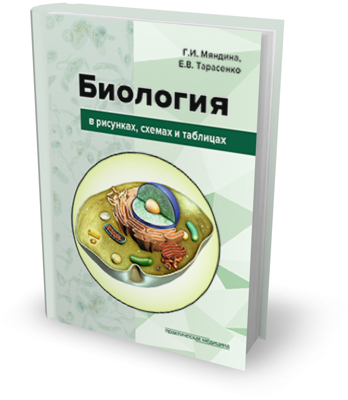 

Мяндина Г. И., Тарасенко Е.В. Биология в рисунках, схемах и таблицах: учебное пособие (978-5-98811-536-6) Изд. Практическая медицина