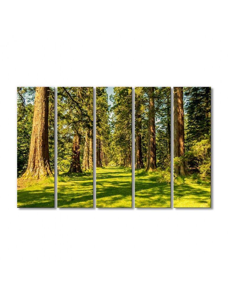 

Модульная картина Artel «Брестская природа» 5 модулей 90x135 см