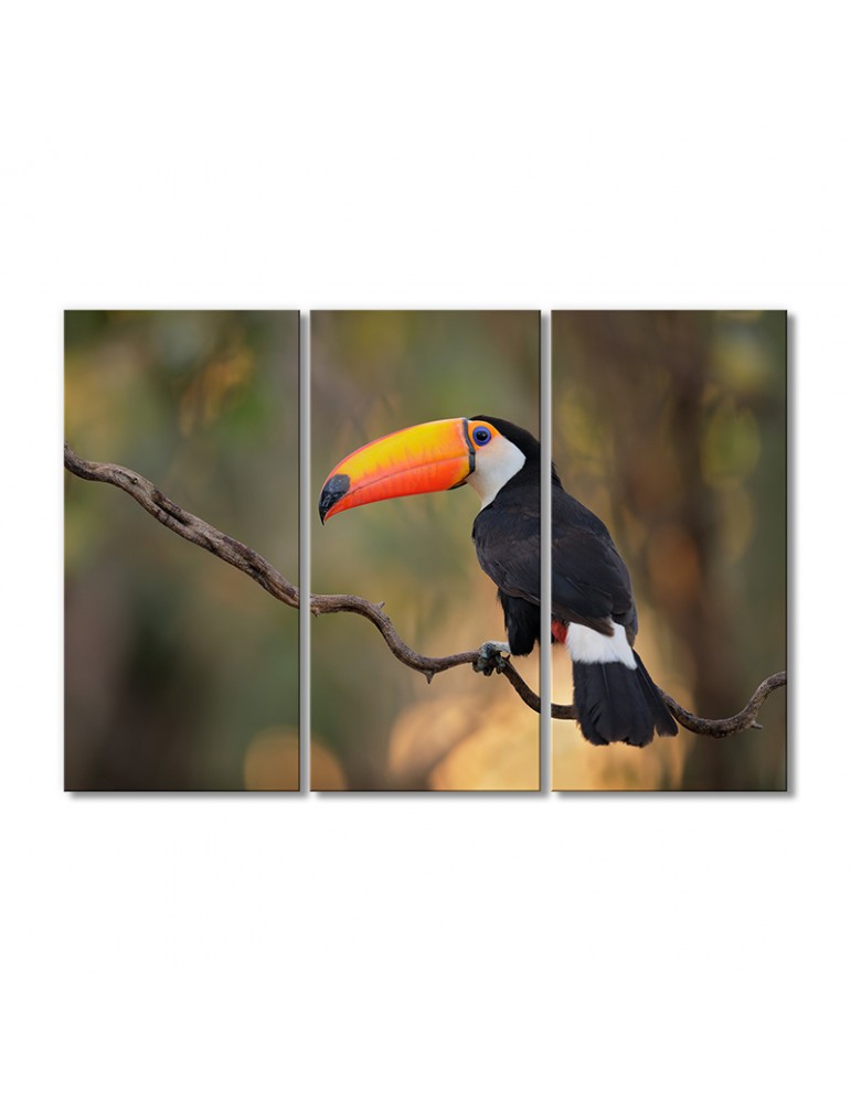 

Модульная картина Artel «Большой тукан» 3 модуля 50x75 см