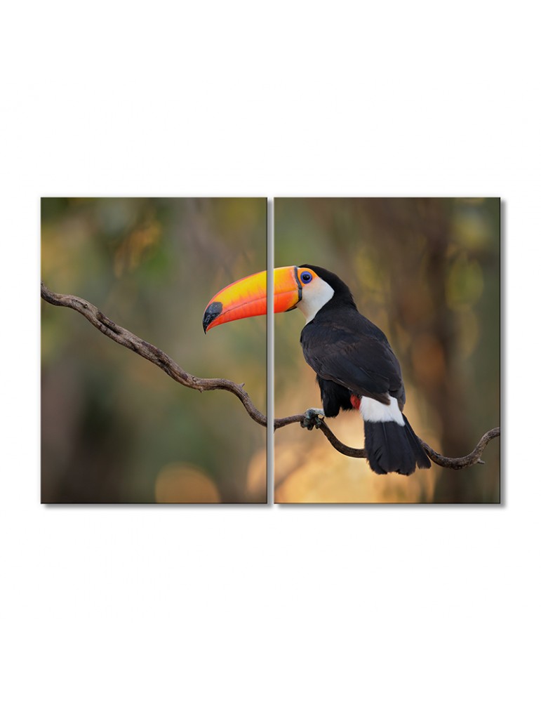

Модульная картина Artel «Большой тукан» 2 модуля 60x90 см