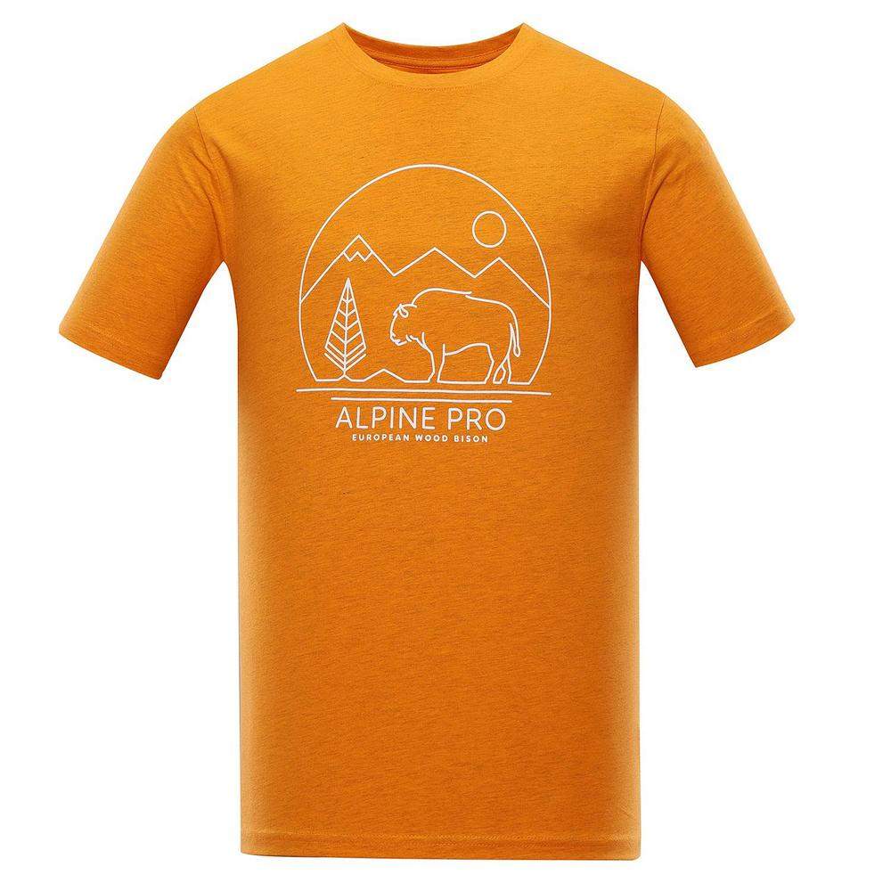 

Футболка Alpine Pro Abic 9 XS Оранжевый (1054-ABICXSO)