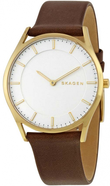 

Мужские часы Skagen SKW6225