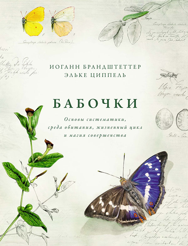 

Бабочки. Основы систематики, среда обитания, жизненный цикл и магия совершенства - Иоганн Брандштеттер, Эльке Циппель (978-5-389-17727-7)