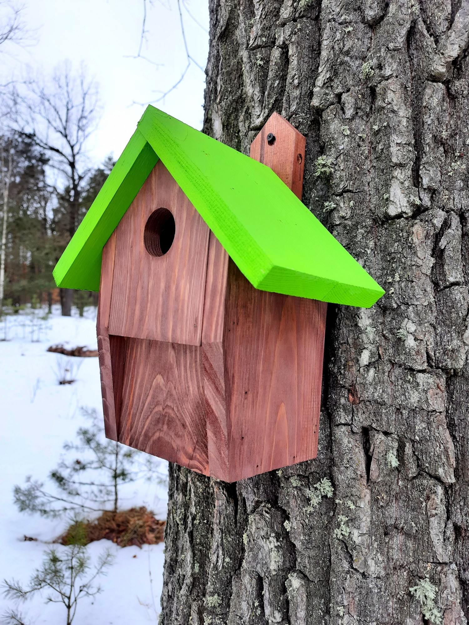 

Синичник, скворечник, домик для птиц от "House_for_birds" Зеленый