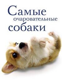 

Самые очаровательные собаки (18406304)