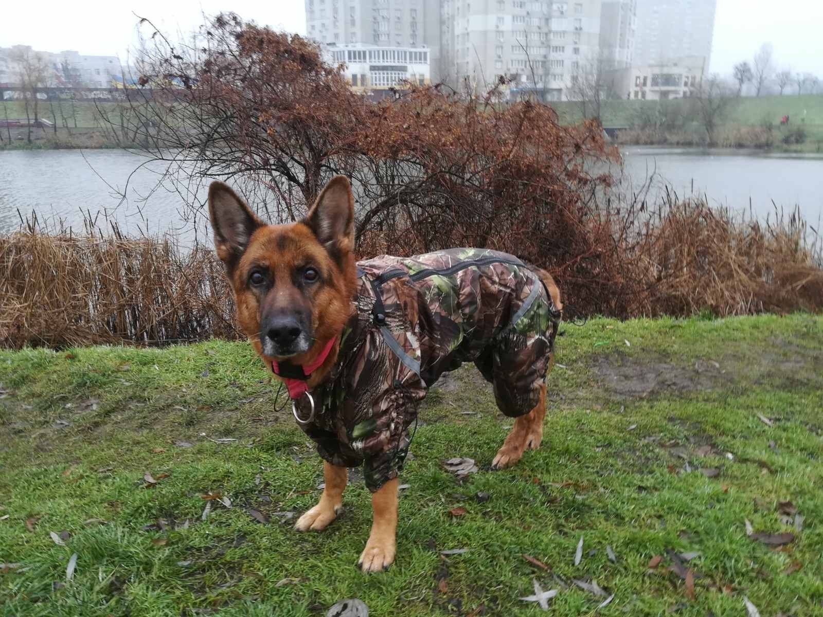 

Дождевик Diego Rain NEW для девочек 5