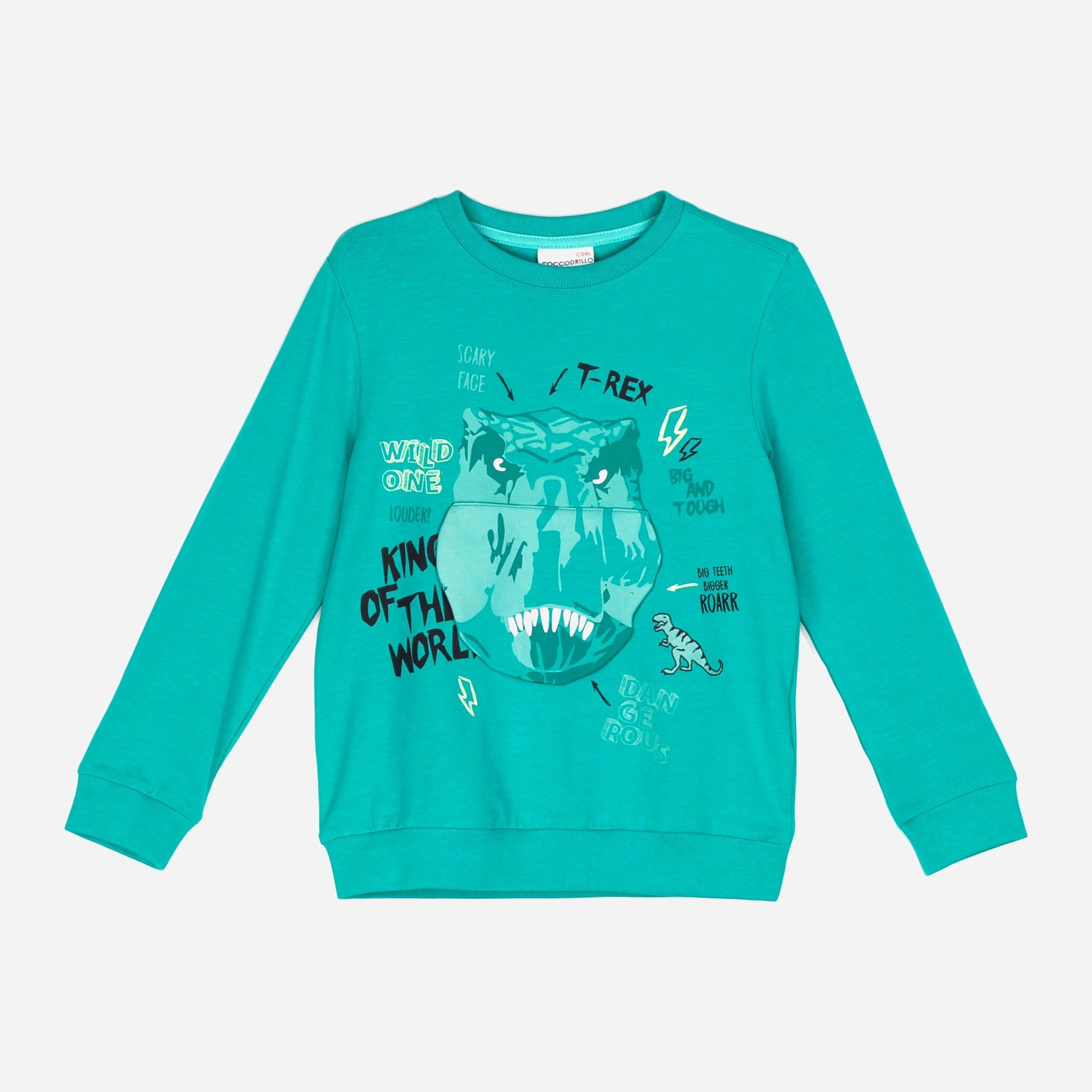 

Свитшот Coccodrillo Dinosaur ZC1143103DIN 104 см Зеленый