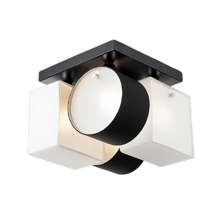 

Потолочный светильник Altalusse INL-9252C-04 White\Black