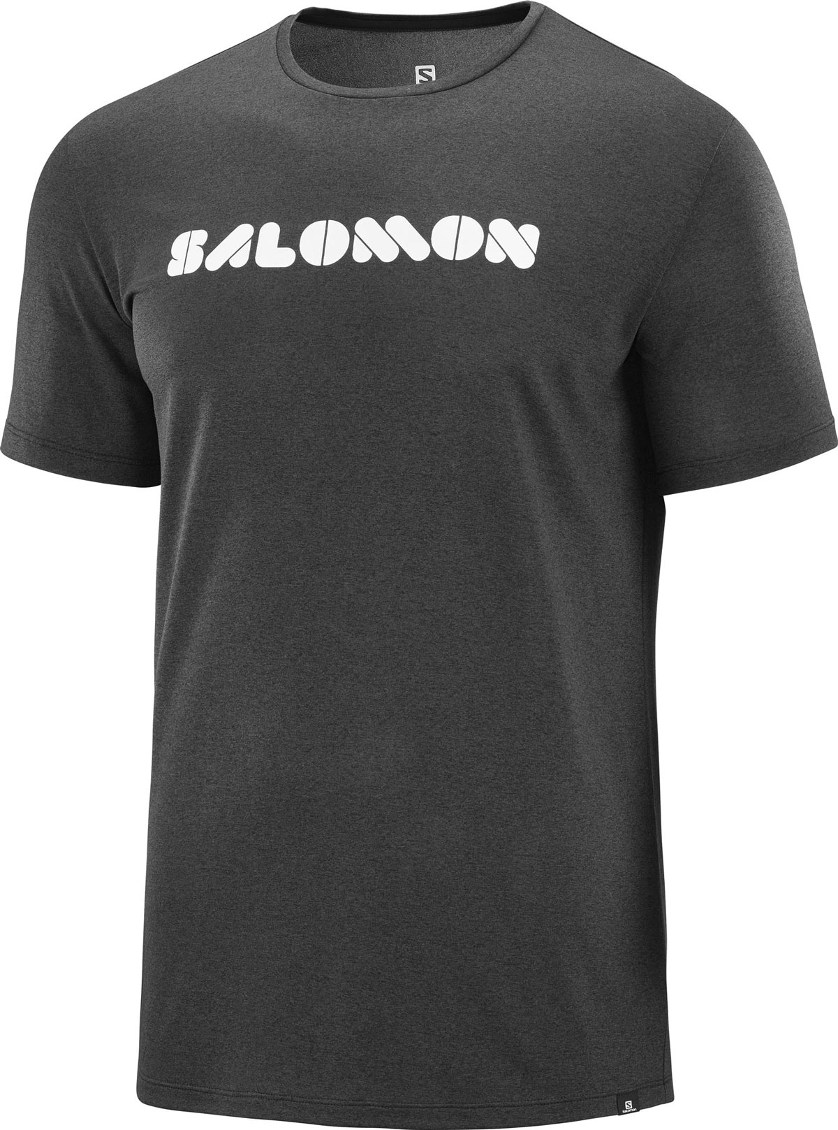 

Футболка Salomon AGILE GRAPHIC TEE, L (48)