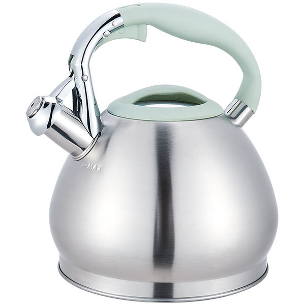 

Чайник (1318-MR) 3,0 л Maestro Steel/Mint