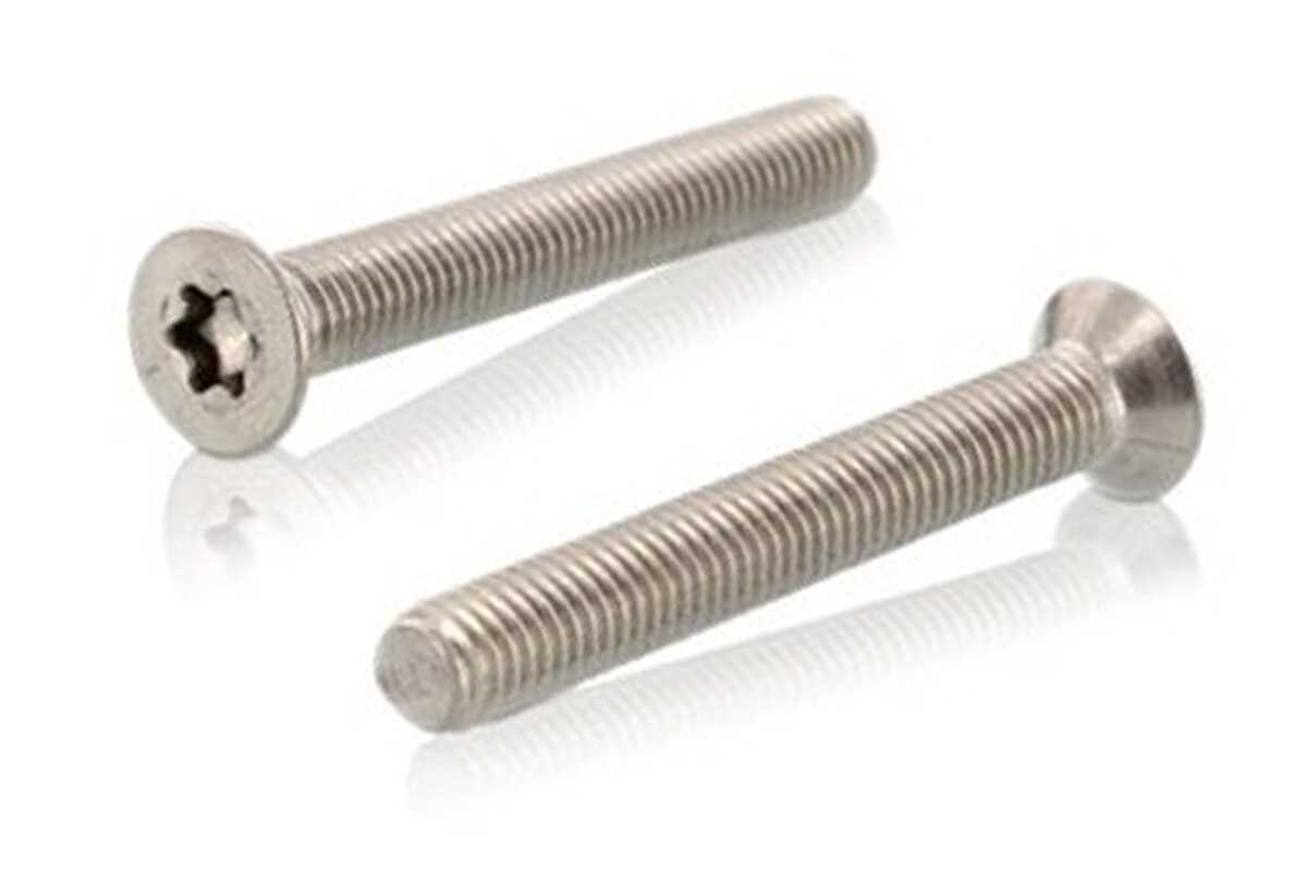 

Гвинт ISO 14581 M2x6 A4 TX6, 1000 шт.