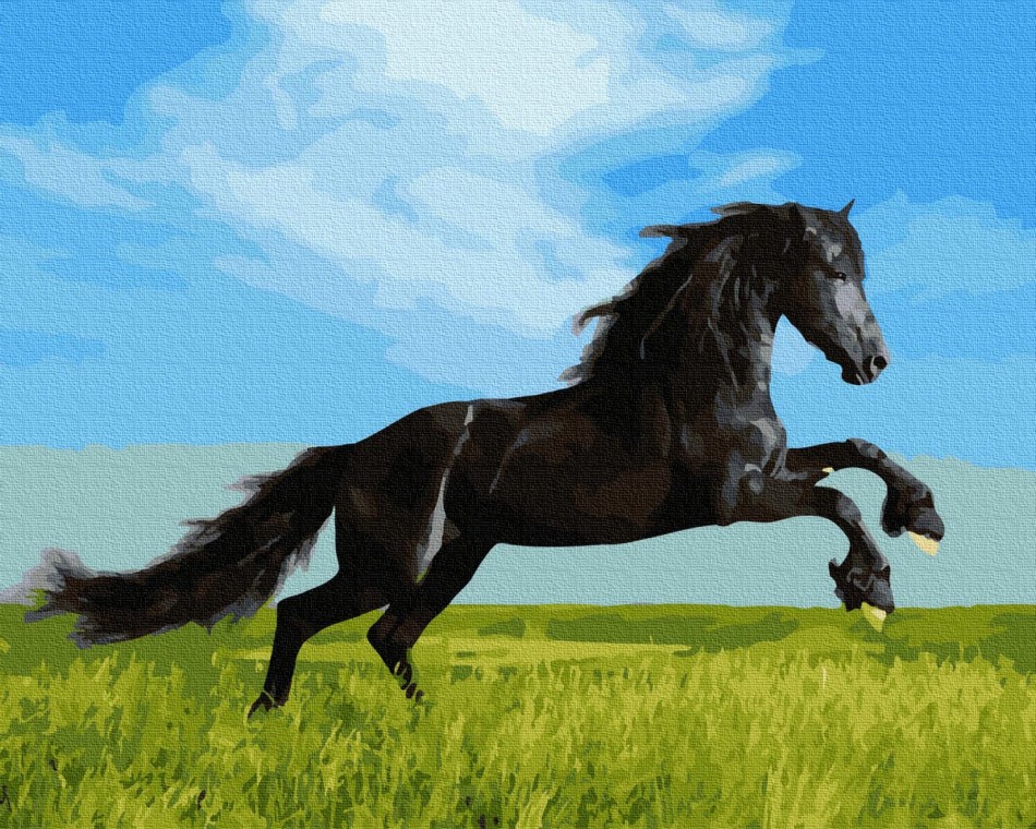 

Картина по номерам Черный скакун, 40x50 Rainbow Art (GX36088) (0096-1937)