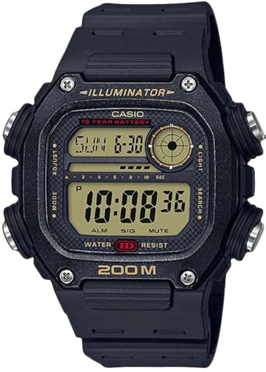 

Мужские часы CASIO DW-291H-9AVEF
