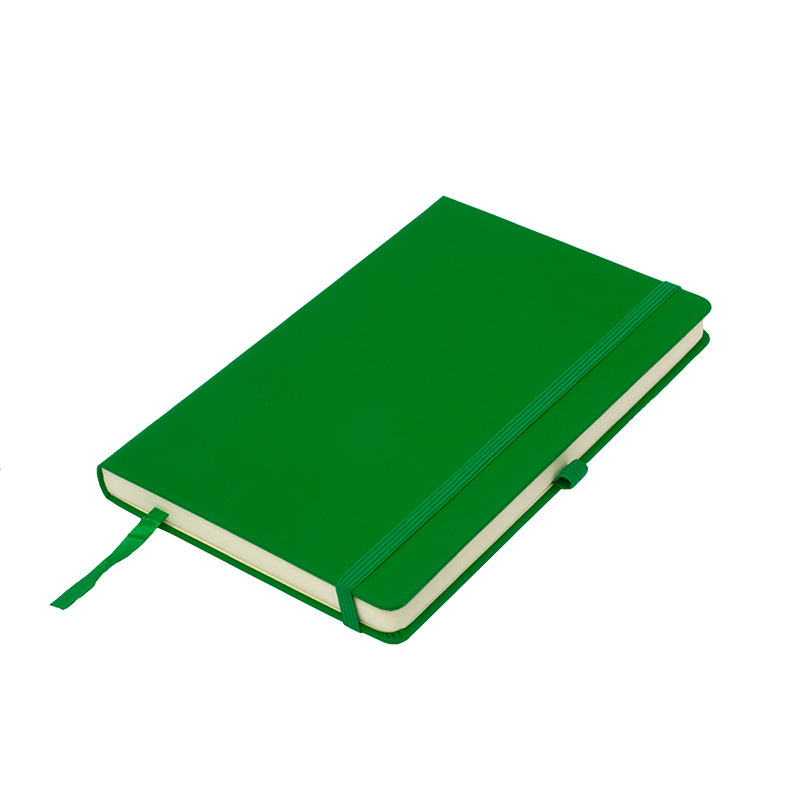 

Записная книга Thinkme Silky 13 × 21 см 256 страниц в клеточку Зеленая (3609374901240)(TM21215/15)