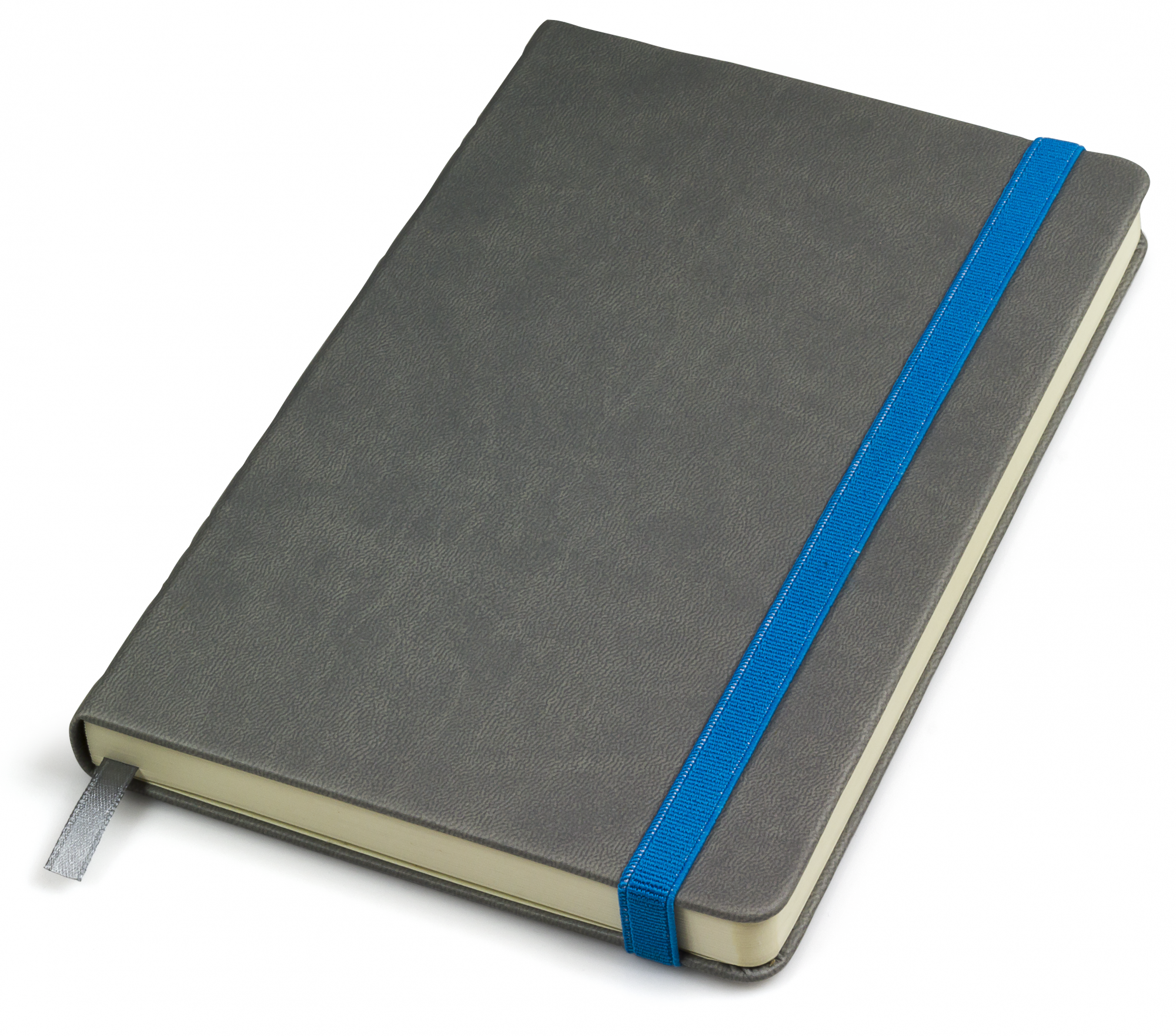 

Записная книга Thinkme Fancy 13 × 21 см 256 страниц в линию Серая с голубой резинкой (TM21200/30/22) (2110000000035)