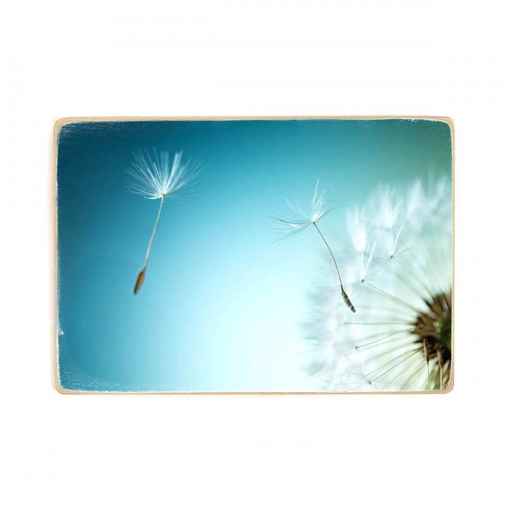 

Деревянный постер Природа Flying Dandelion А2