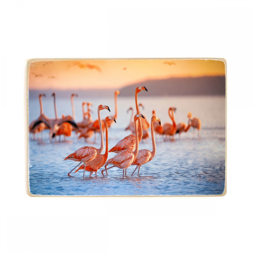 

Деревянный постер Животные Flock Of Pink Flamingos А1