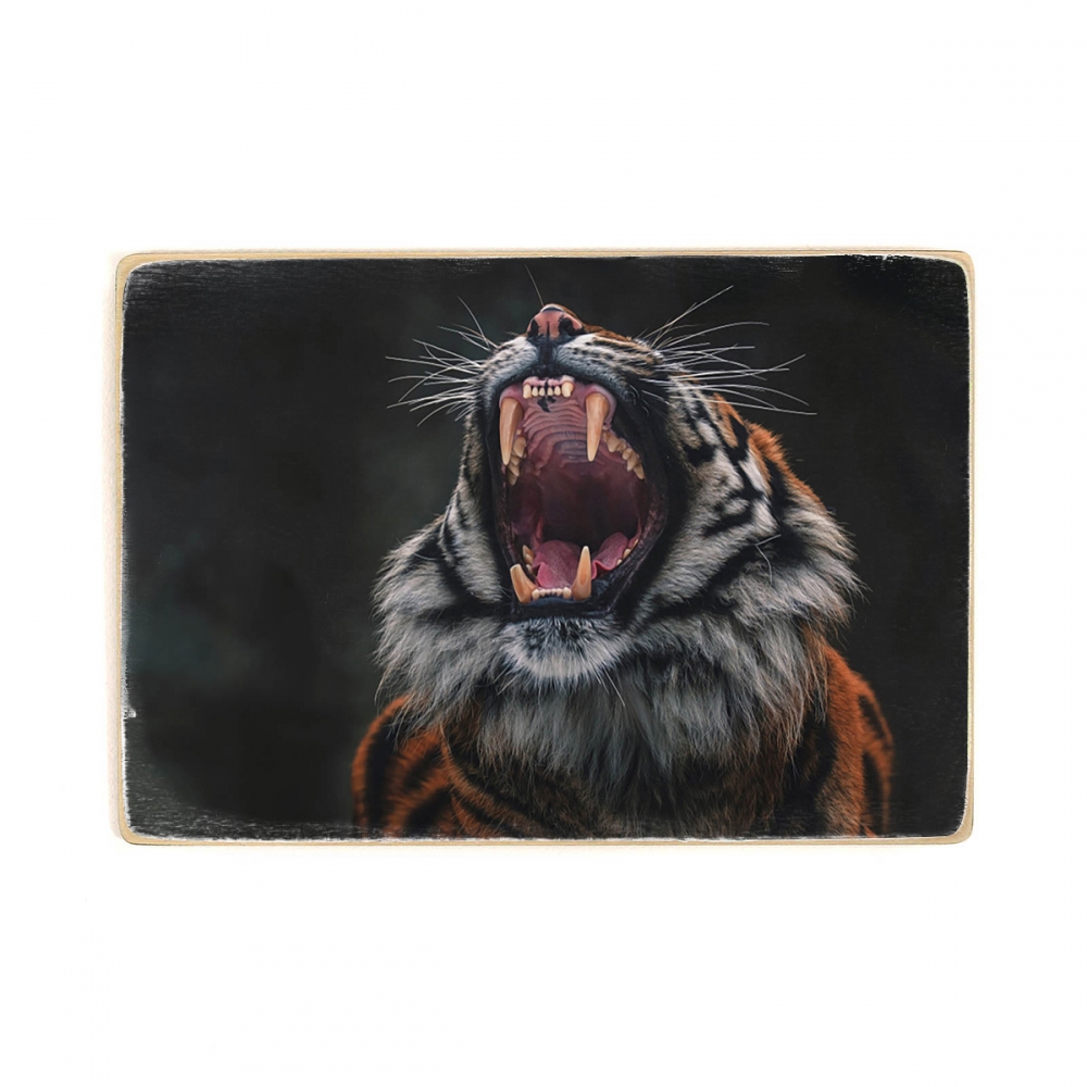 

Деревянный постер Животные Sumatran Tiger А1