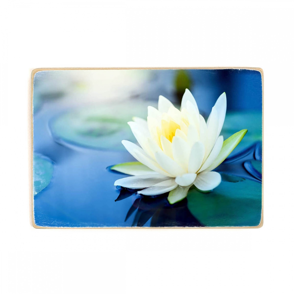 

Деревянный постер Природа White Lotus Flower А1