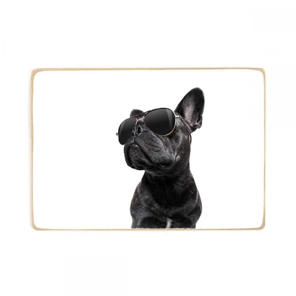 

Деревянный постер Животные French Bulldog With Glasses А2