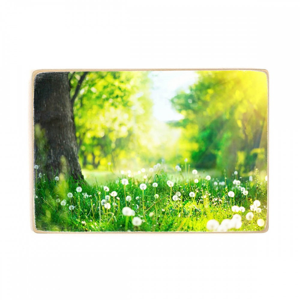

Деревянный постер Природа Парк с одуванчики, Зеленая трава, Деревья и цветы. А1