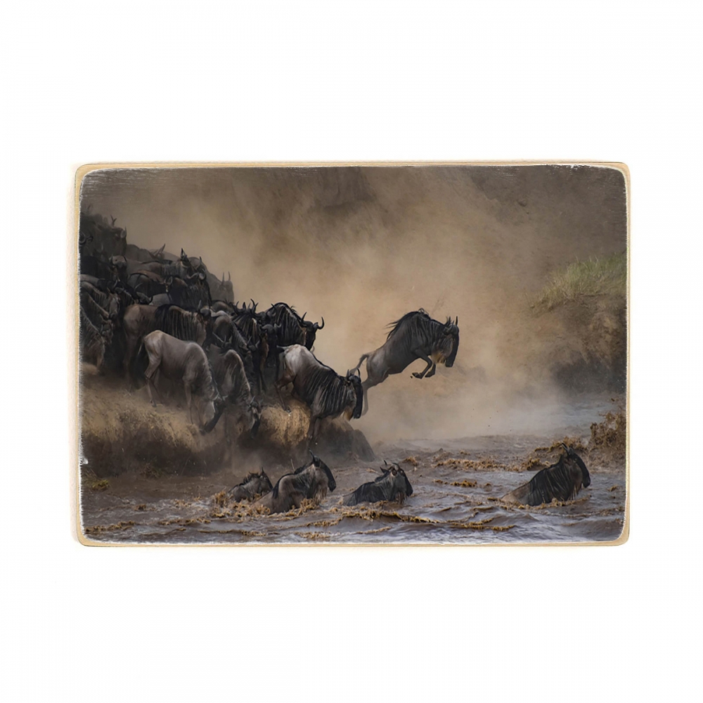 

Деревянный постер Животные Wildebeest Jumping А1