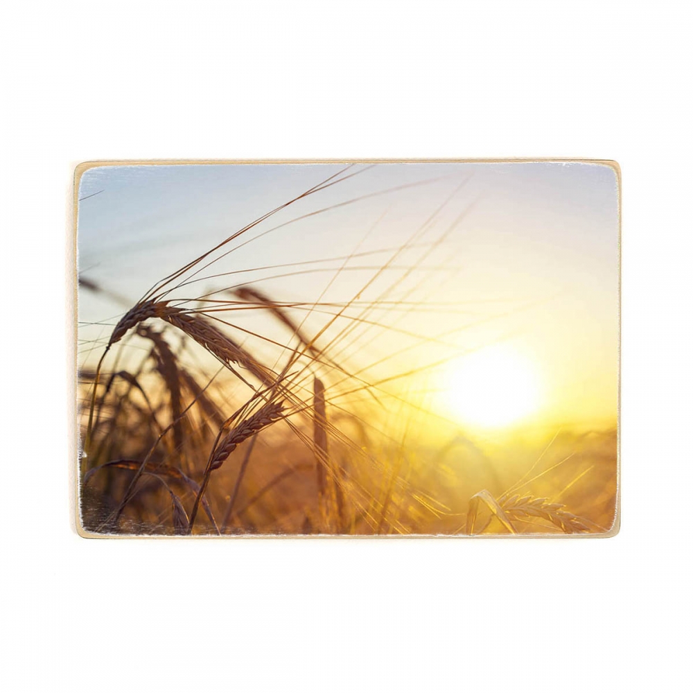 

Деревянный постер Природа Ear Of Golden Wheat А2