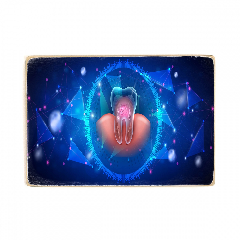 

Деревянный постер Стоматология Transparent Tooth With Roots And Nerves А1