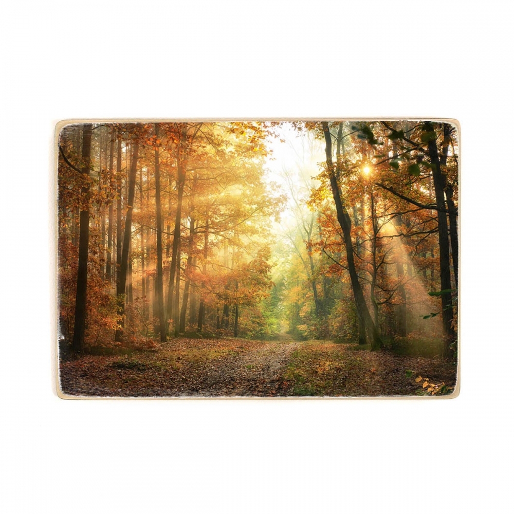 

Деревянный постер Природа Осеннее утро в лесу А1