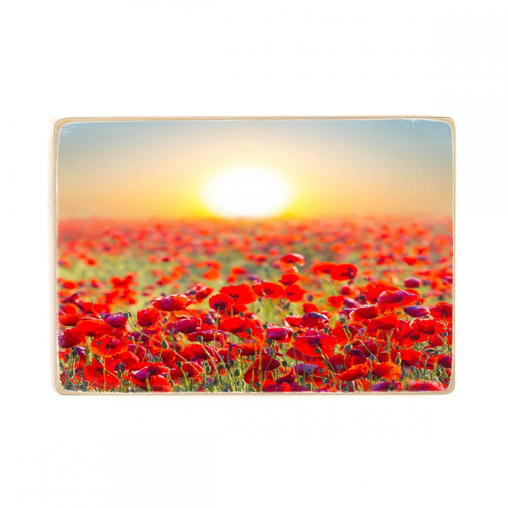 

Деревянный постер Природа Red Poppy Field А1