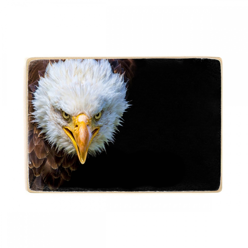 

Деревянный постер Животные Bald Eagle А2