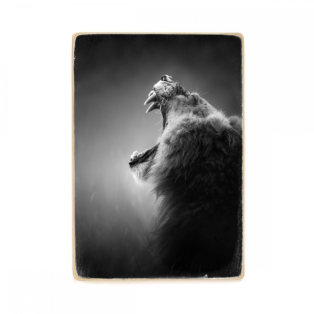 

Деревянный постер Животные Lion Roar А2