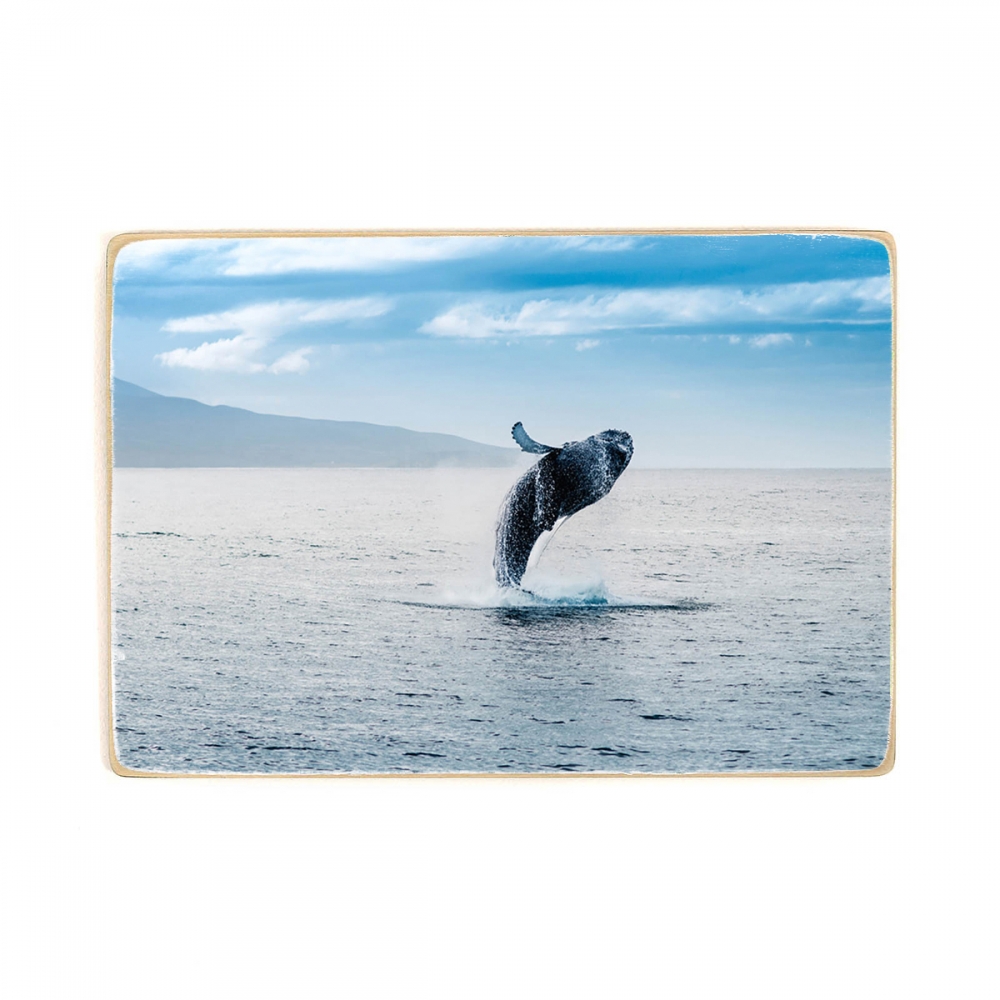 

Деревянный постер Животные Whale Jump А2