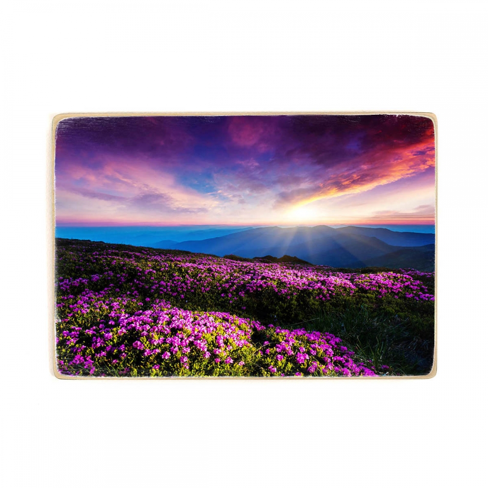 

Деревянный постер Природа Magic Pink Rhododendron Flowers А1