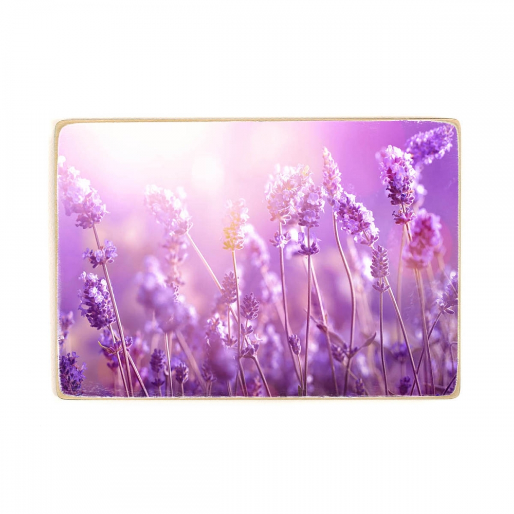 

Деревянный постер Природа Lavender Field А2